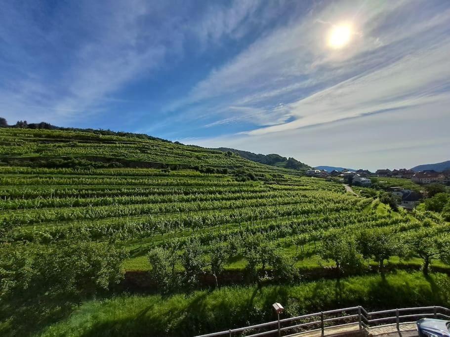 Wohnung In Der Wachau ヴァイセンキルヒェン・イン・デア・ヴァッハウ エクステリア 写真